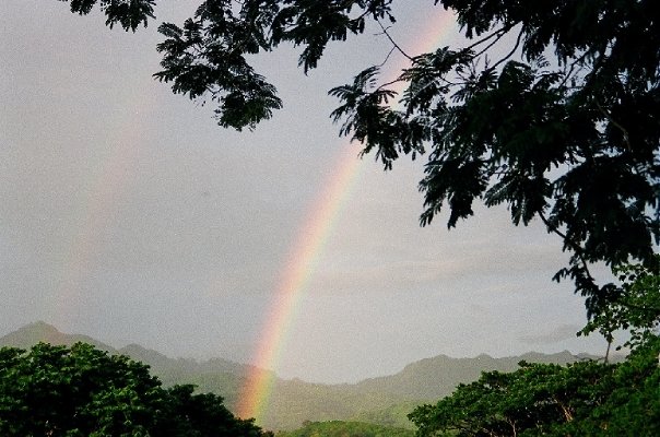 rainbow cuba