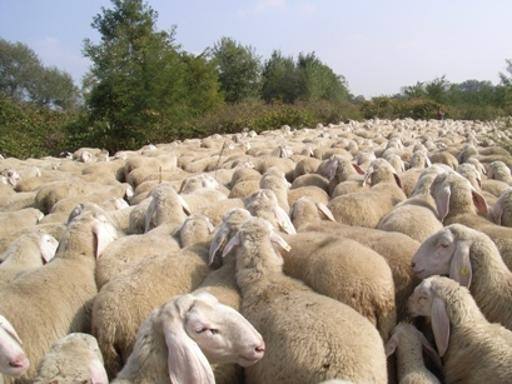 6175c2c2-2872-11e4-abf5-0984ba3542bc